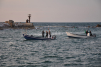 شاهد: صيادو مدينة يافا شاركوا بانتشال 11 شخصاً انقلب مركبهم في ميناء يافا